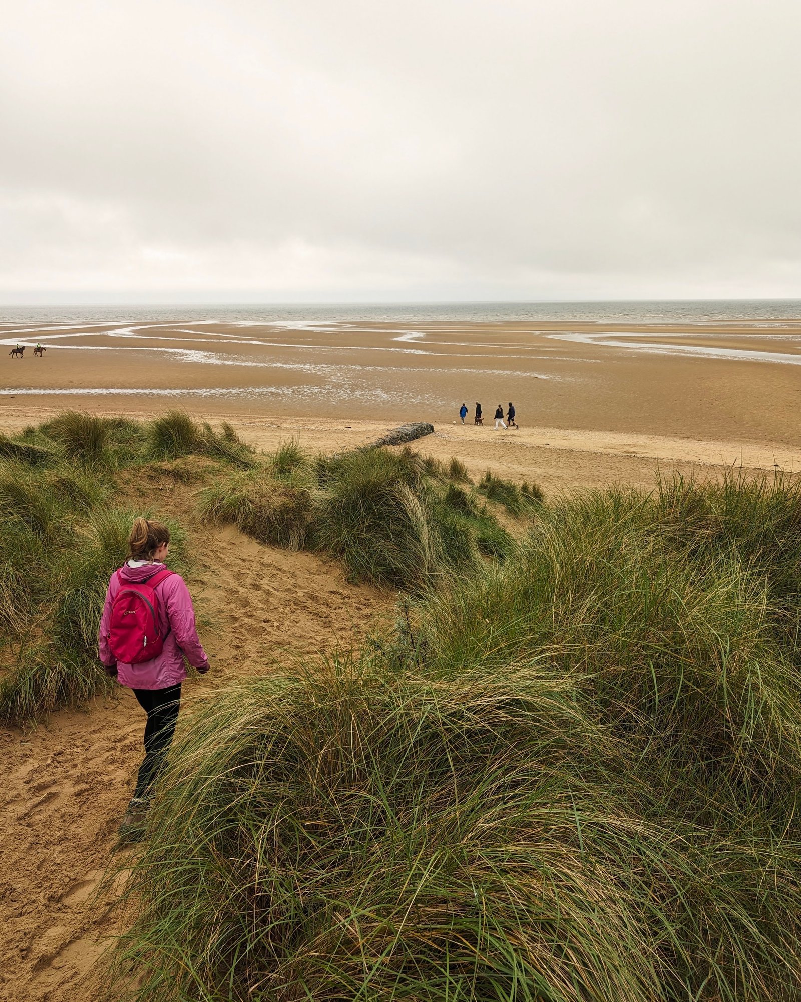 North Norfolk Coast Sands and Marsh